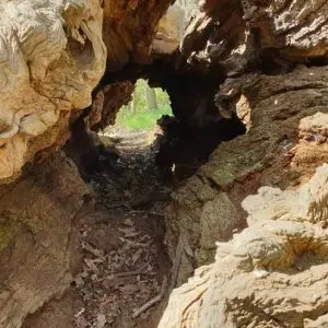 Light at the end of the tunnel