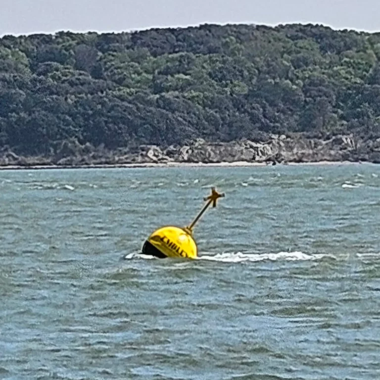 The buoy