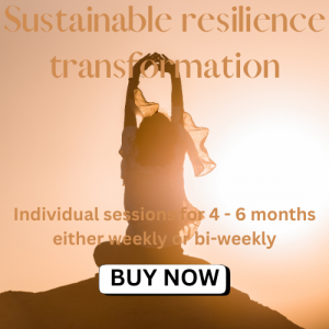 Package 2: Sustainable Resilience Transformation (Focus on Mastery)​